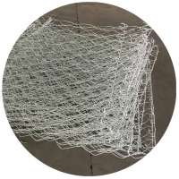 PVC coated 80*100mm Double Twist Weave Hexagonal Gabion Box Mesh