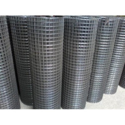 Galvanized  welded wire mesh fence panel  BWG12-24