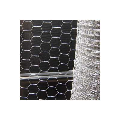 0.8mm 50mm Galvanised Hexagonal Wire Mesh/Chicken Wire Mesh/Garden Netting