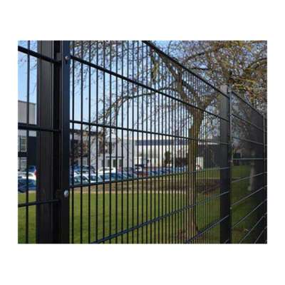 Galvanized and powder coated double wire panels 656 868 555 wire security fences